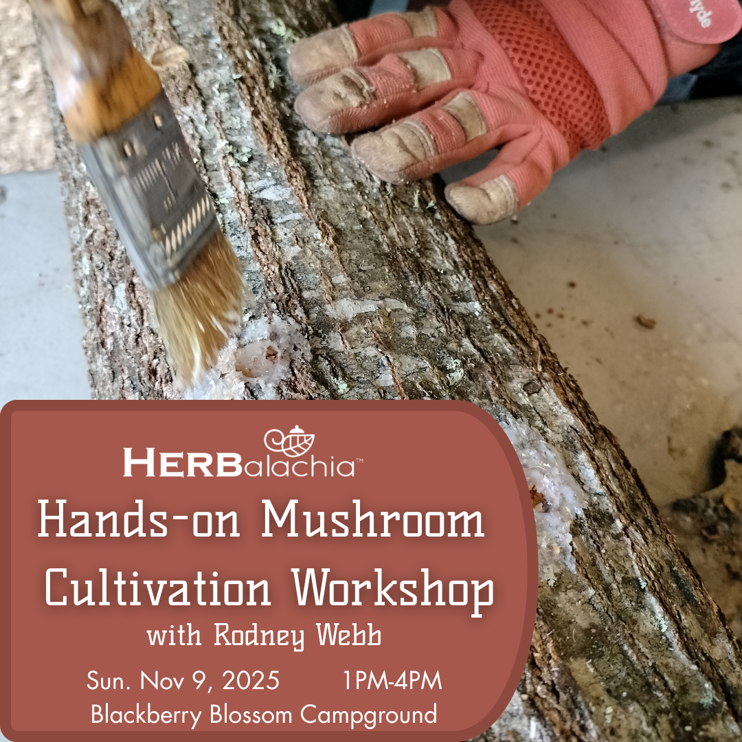 Hands-on Mushroom Cultivation Workshop