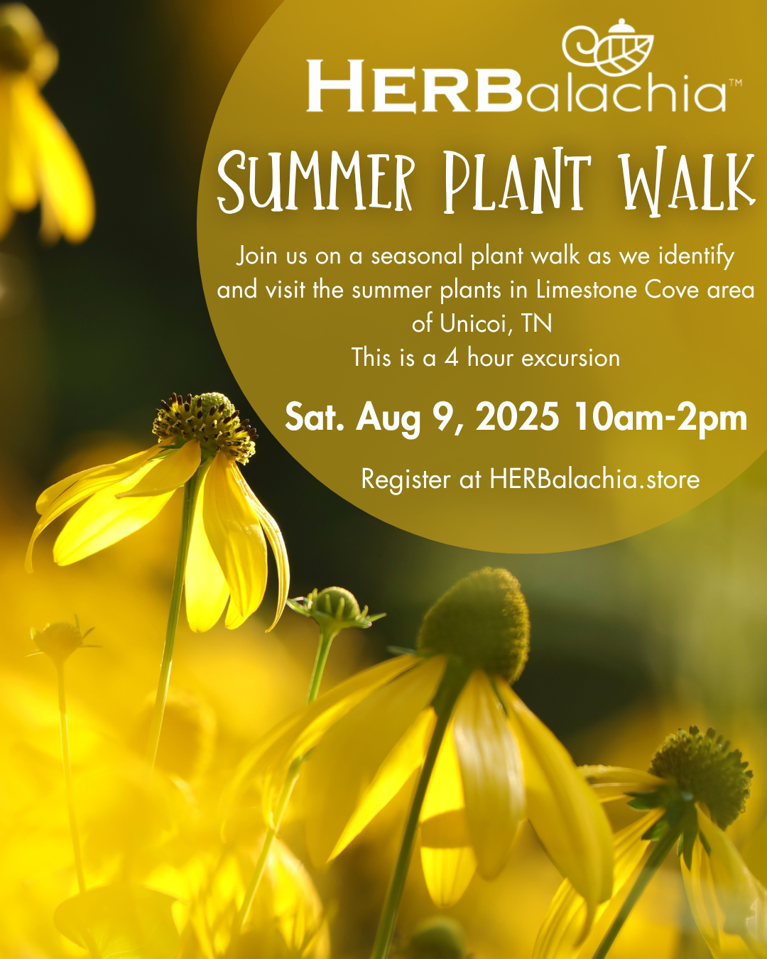 Summer Plant Walk