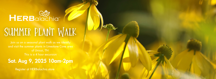 Summer Plant Walk