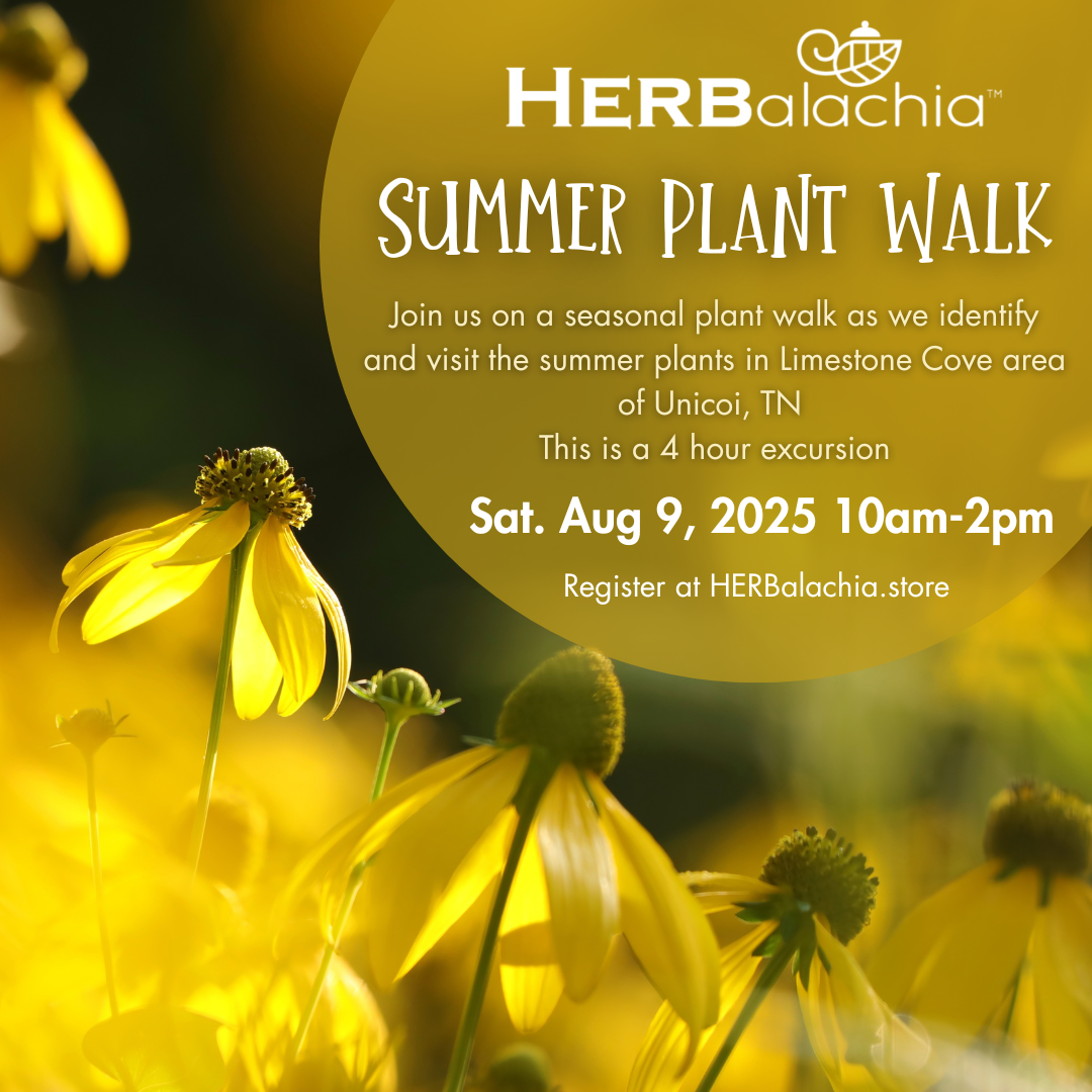 Summer Plant Walk