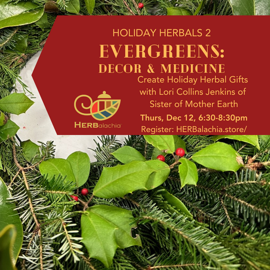 Holiday Herbals: Evergreens