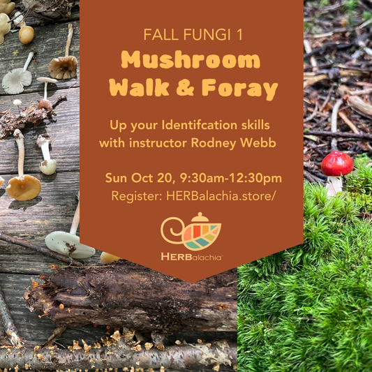 2024 Mushroom Walk & Foray