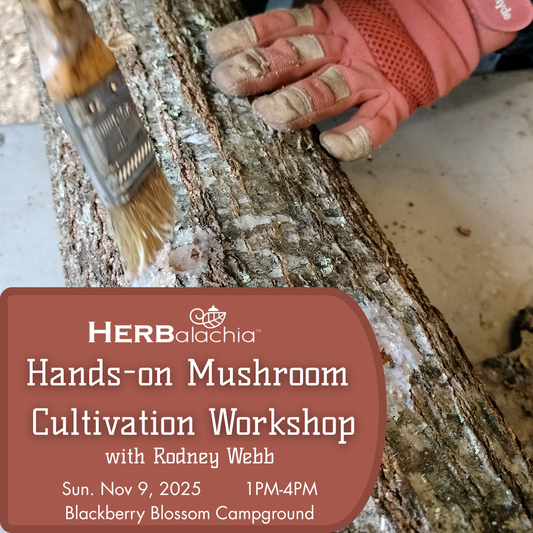 Hands-on Mushroom Cultivation Workshop