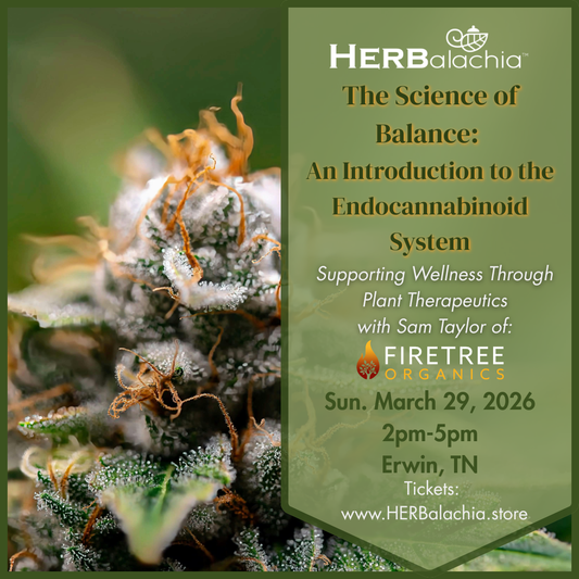 The Science of Balance: An Introduction to the Endocannabinoid System