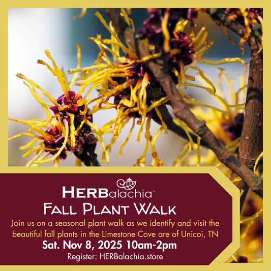 Fall Plant Walk
