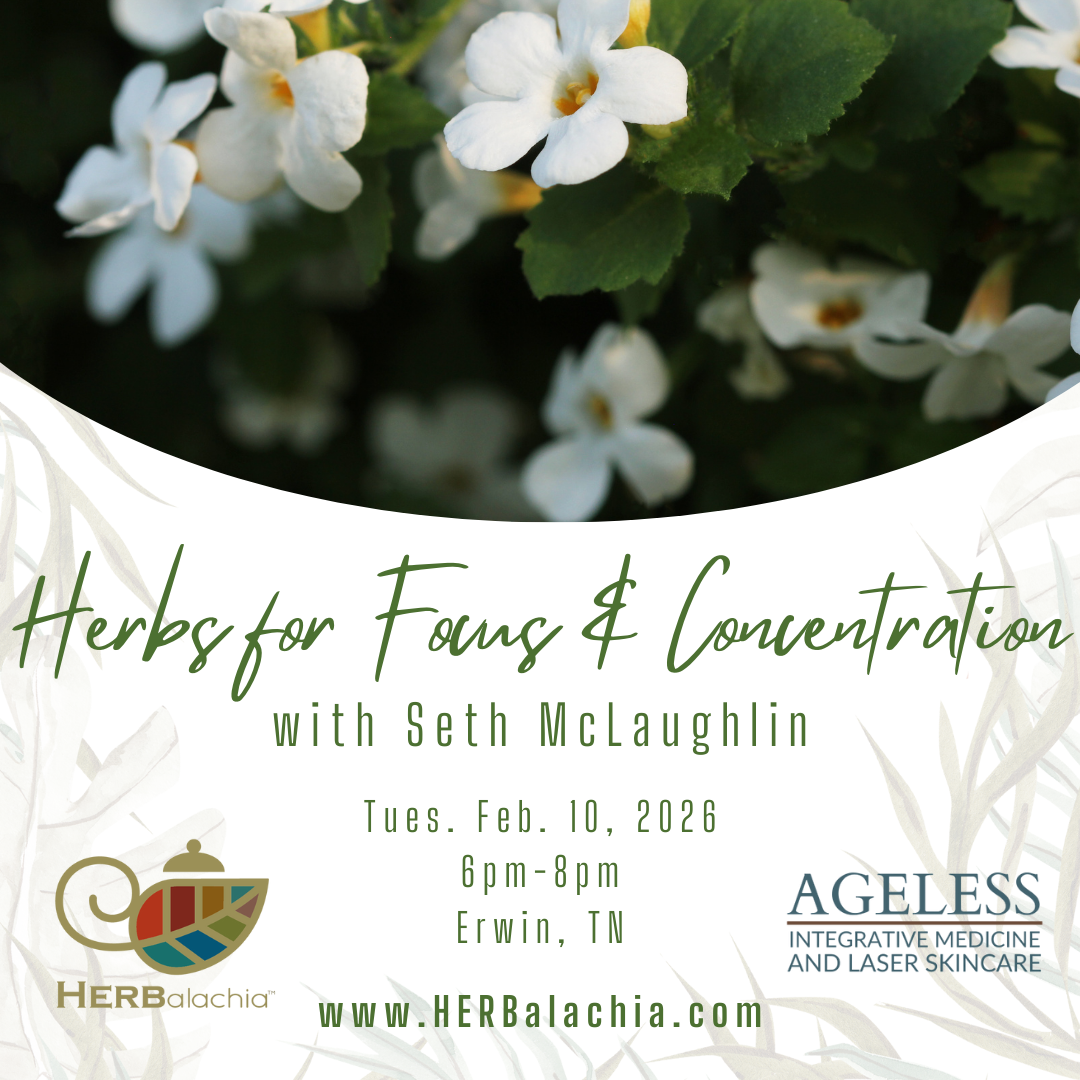 Herbs for Focus & Concentration