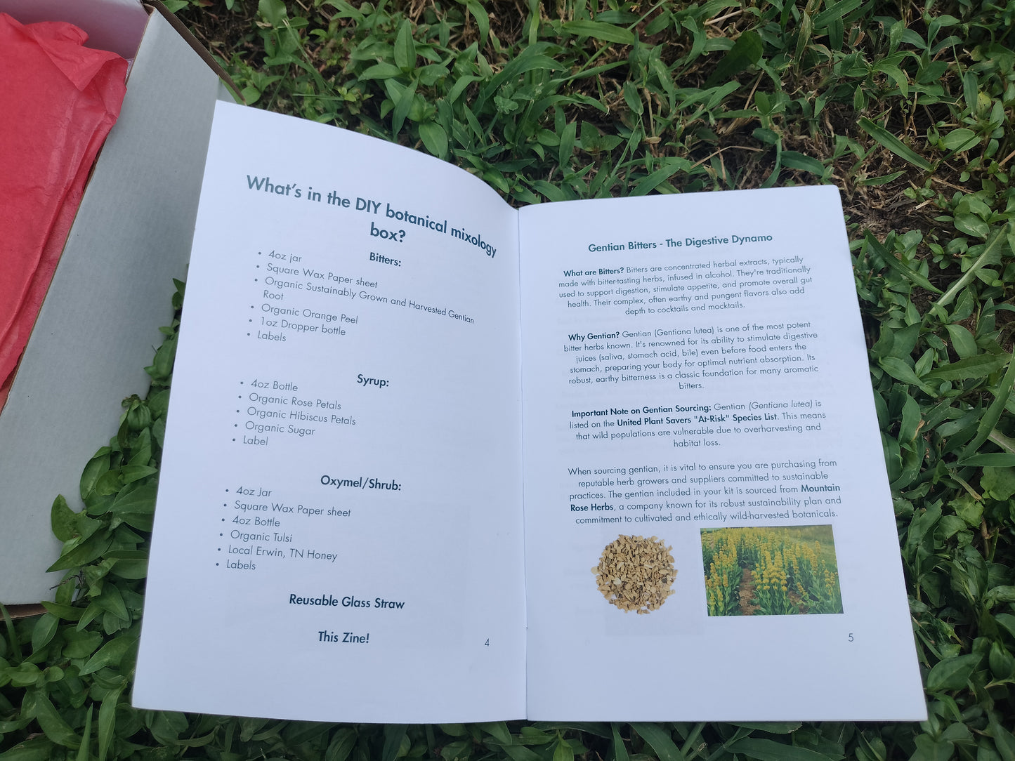 Summer Botanical Mixology DIY Box: The Guide to Summer Sips