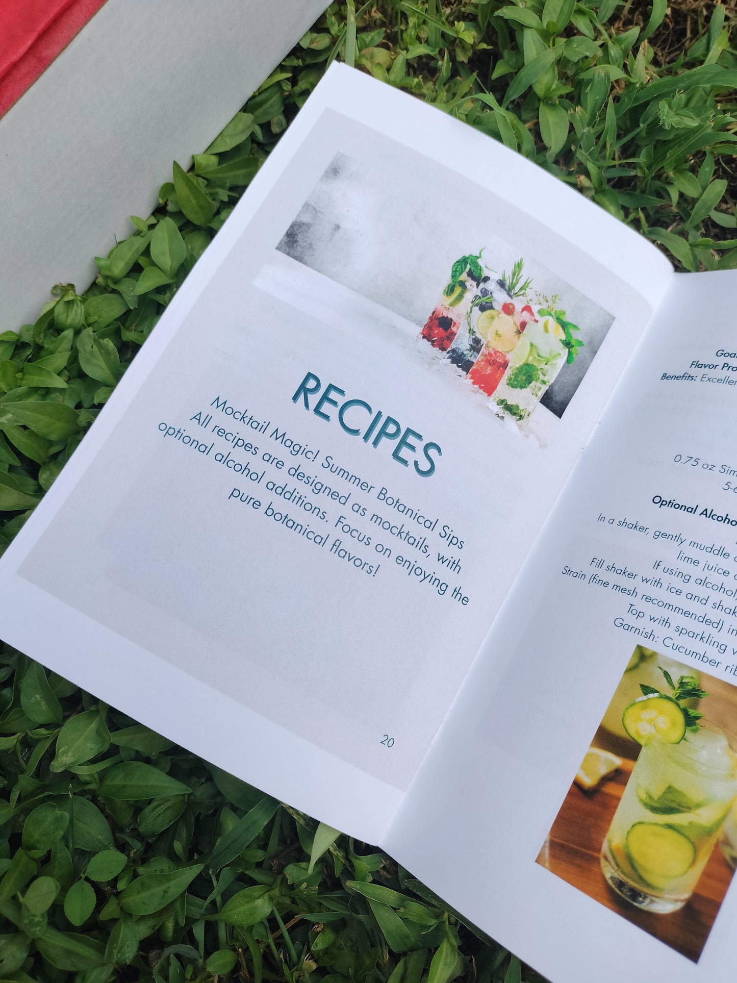 Summer Botanical Mixology DIY Box: The Guide to Summer Sips