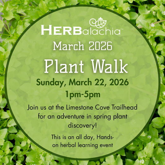 Monthly Plant Walk Series: The Spring Awakening at Limestone Cove