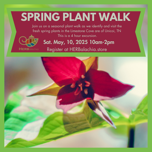 Spring Plant Walk