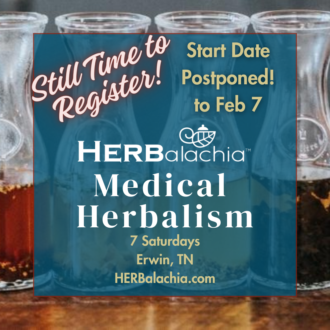 Medical Herbalism Program