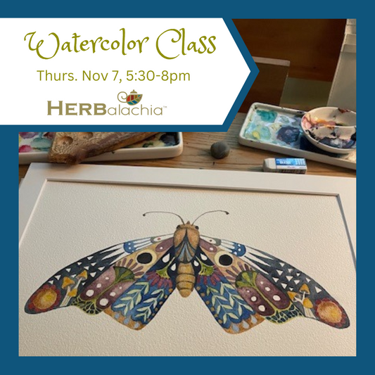 Watercolor Class Fall/Winter Series 1