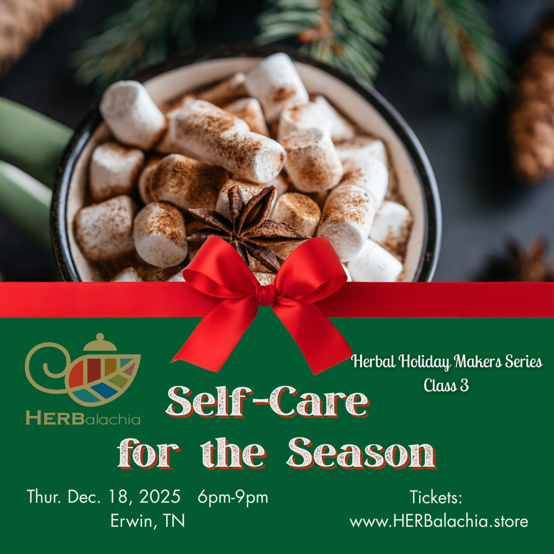Self Care for the Season: Holiday Makers Series 3